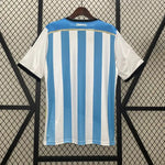 Maillot rétro Argentine domicile 2014 bleu ciel et blanc, vue de dos