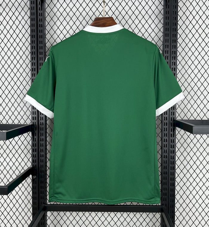 Maillot Palmeiras 2025/26 Domicile – vue de face